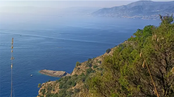 Punta Chiappa vista dall'alto