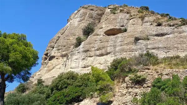Dettagli del monte di Portofino