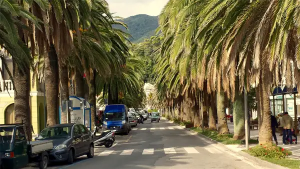 Il viale principale
