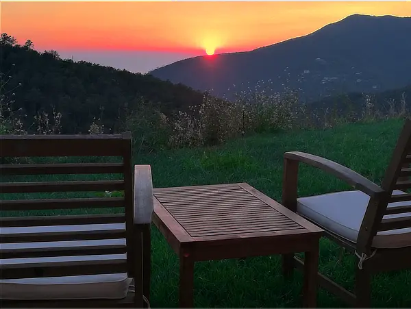Un'Oasi di Pace