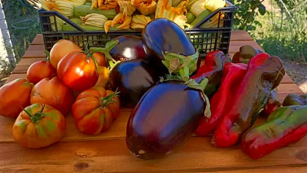 I colori vivaci degli ortaggi misti